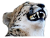 :cheesingcheetah: