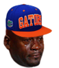 Gators MJCRY